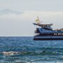 paseo en barco tenerife